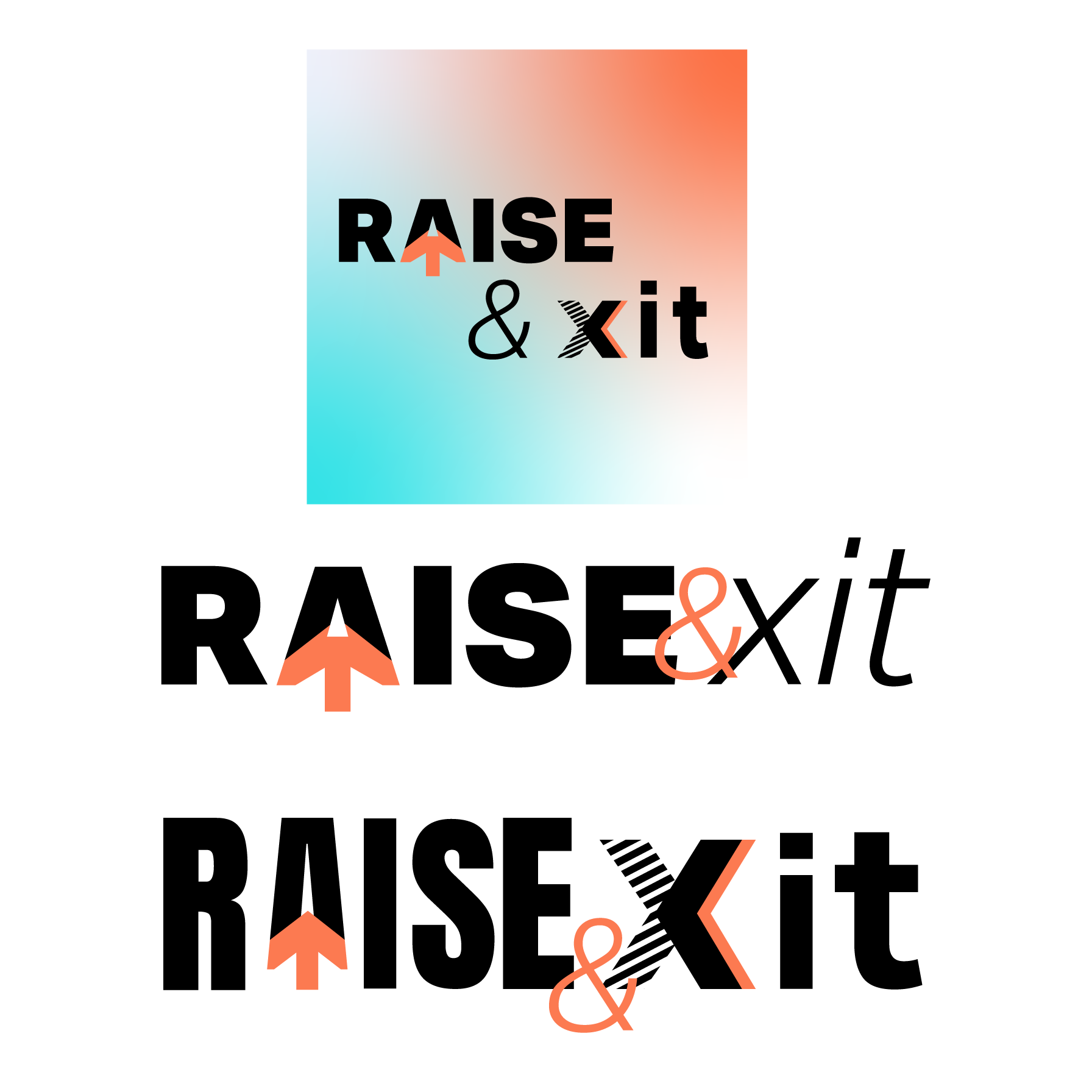 Logo variations and layouts